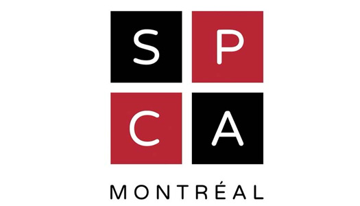 SPCA de Montréal